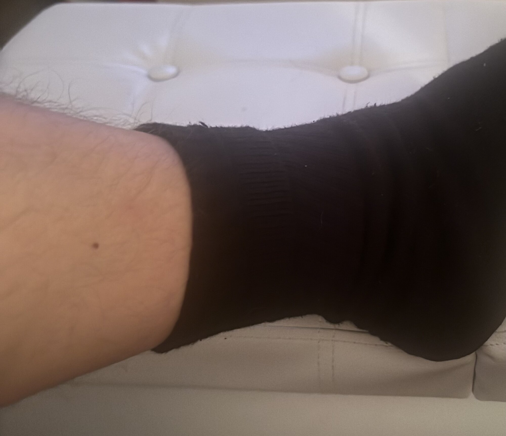 Thelsmallcock