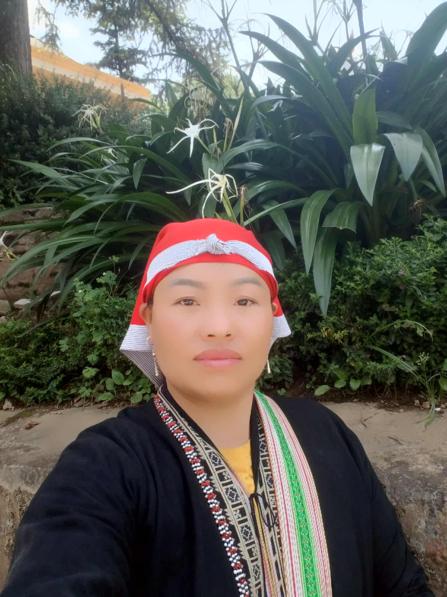 Phamxinh