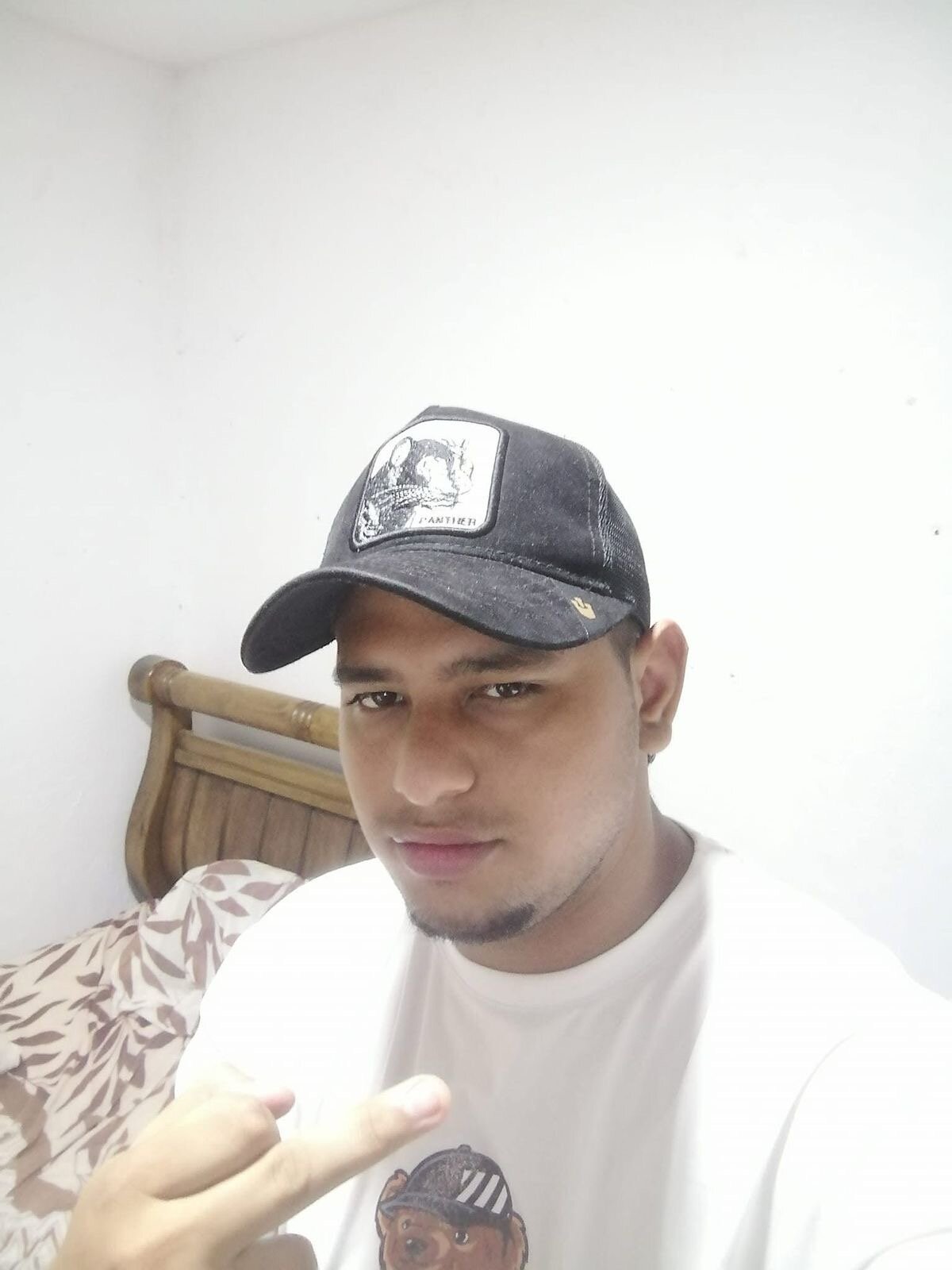 Racingbear_