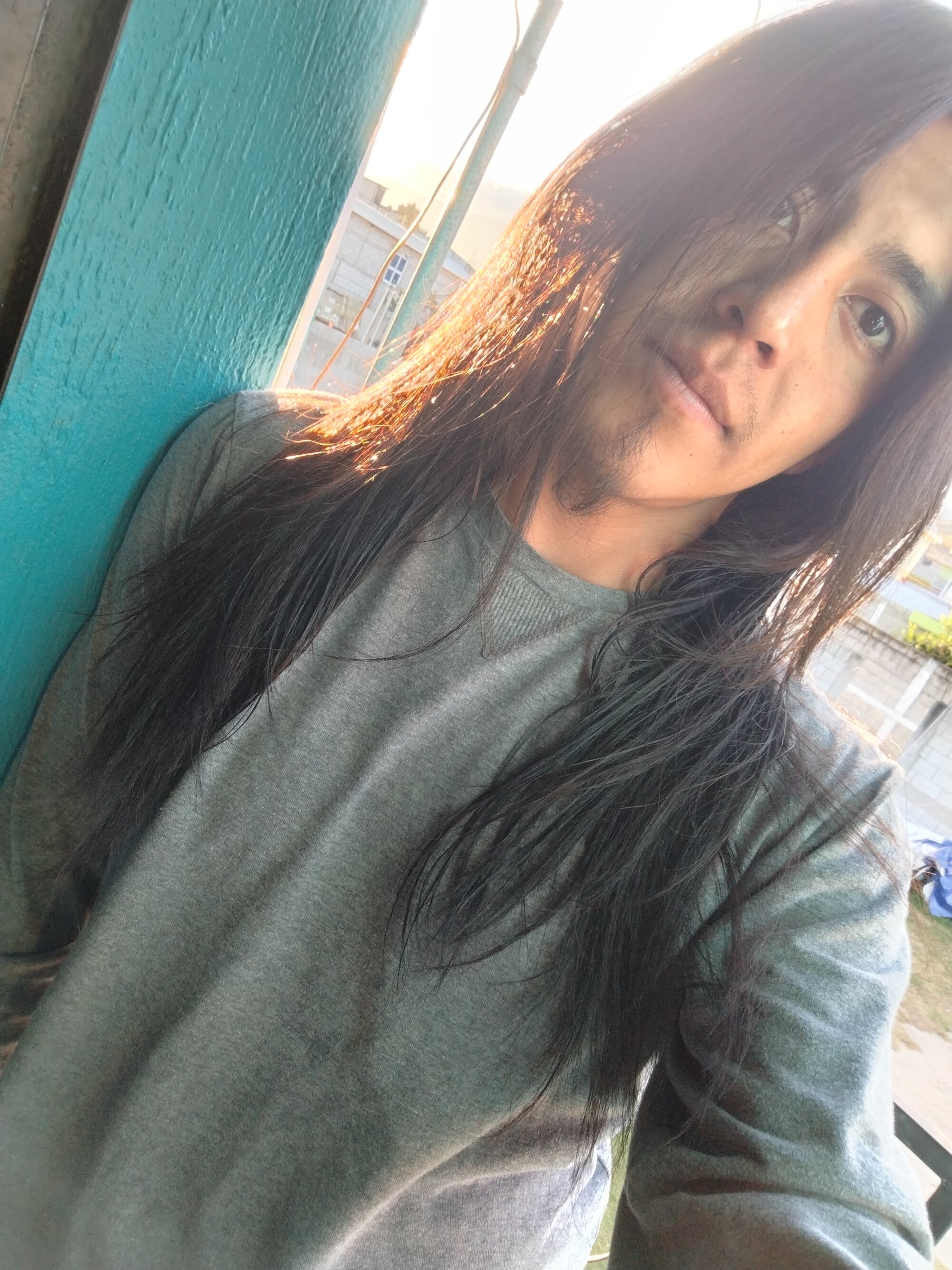 Galloveloz_1