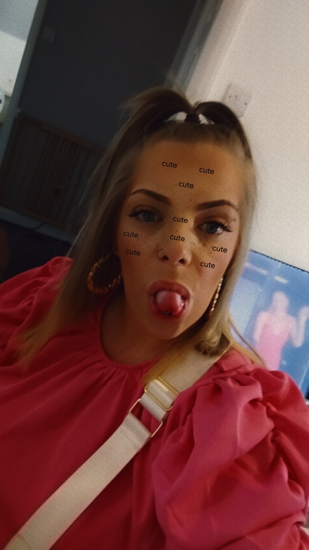 British-Daisy-31