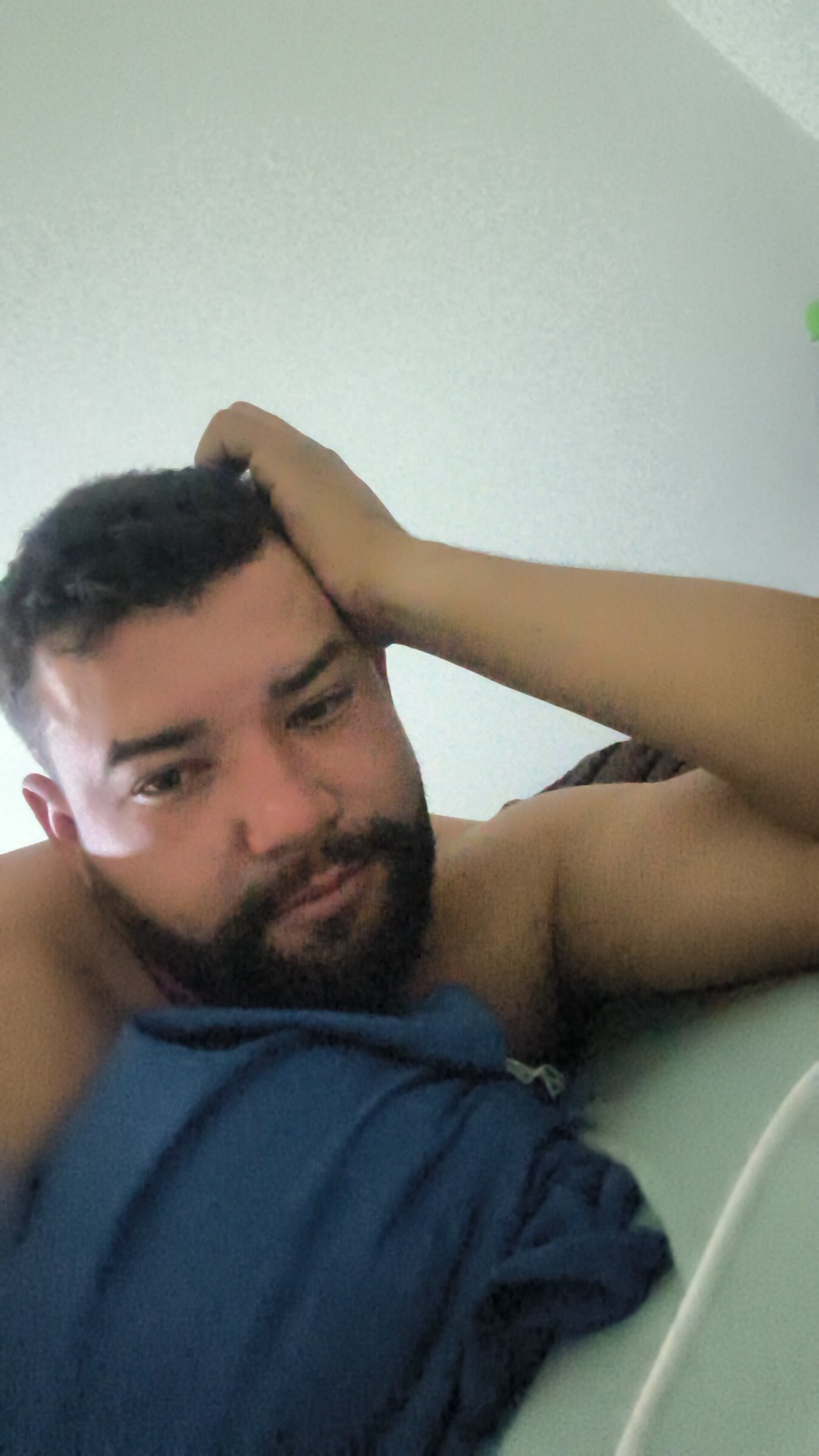 Leonardomd5