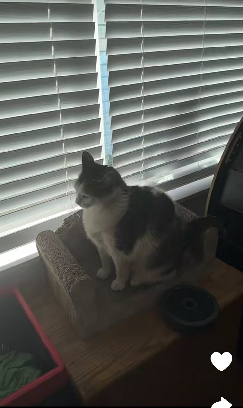 Xxxxhot123 Chat XXX Ngoại tuyến