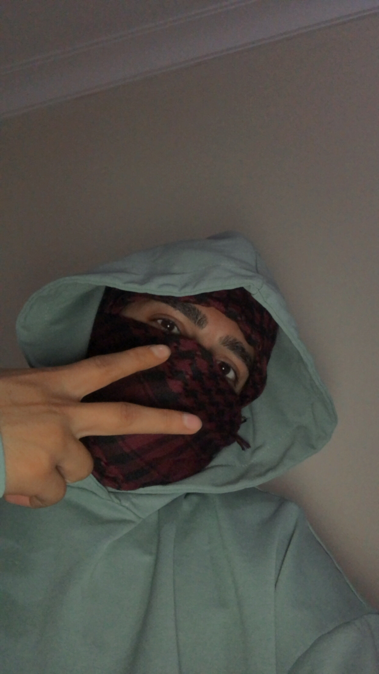 ghostzeuss