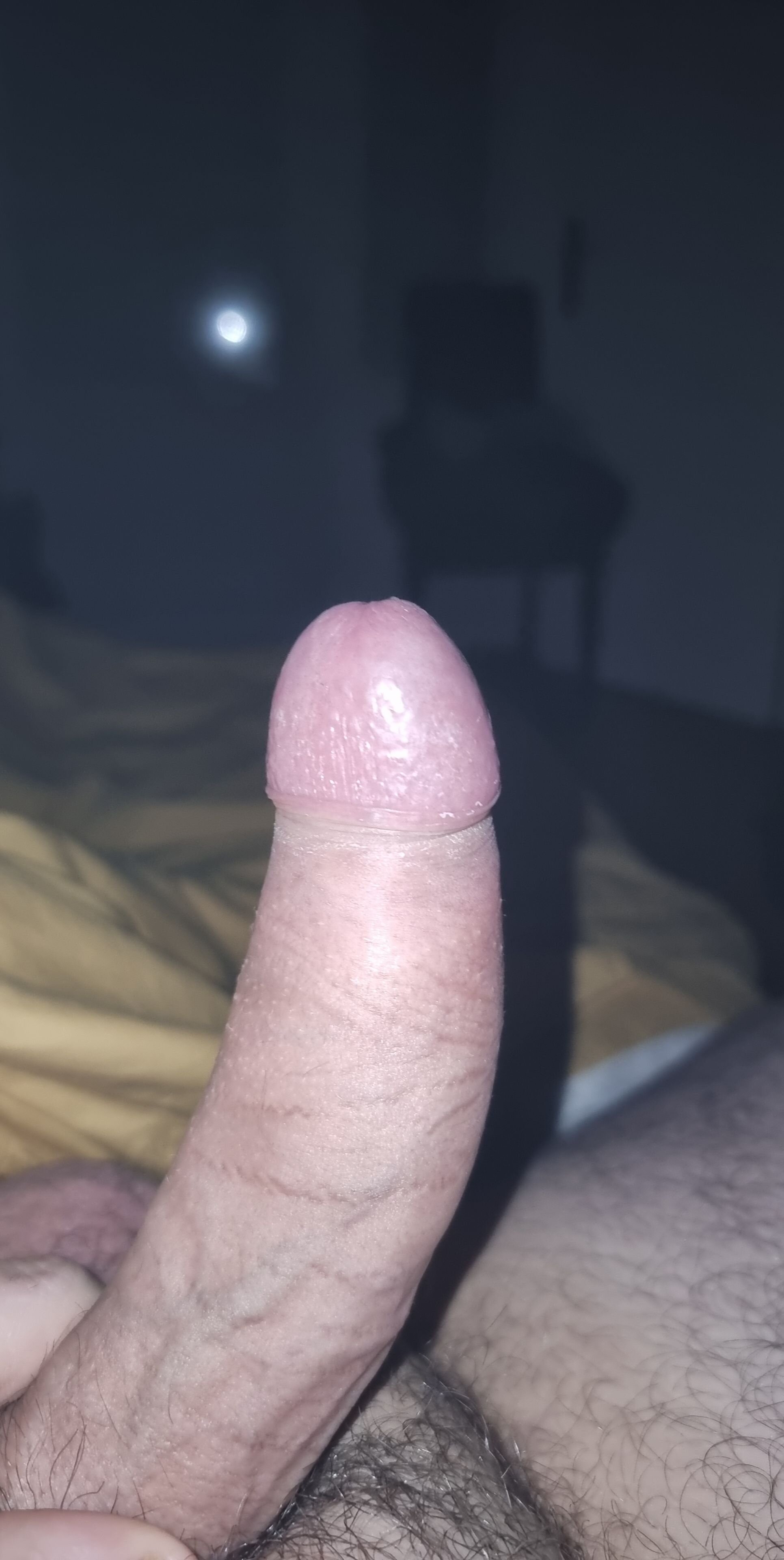hairydickfr