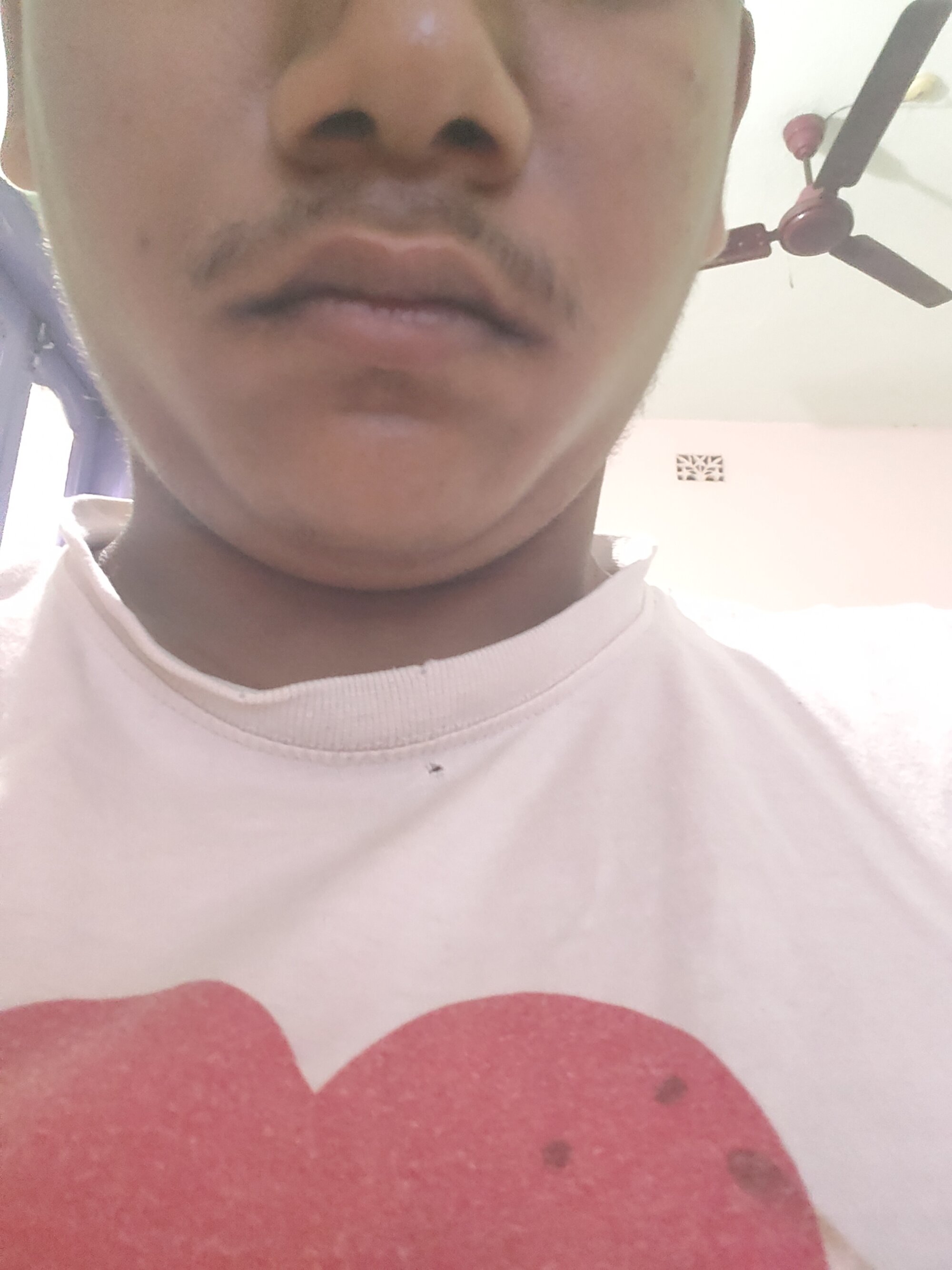 recentprocess live webcam