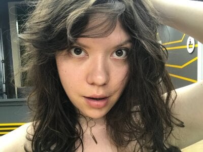 this_cat_loves_meat Avatar