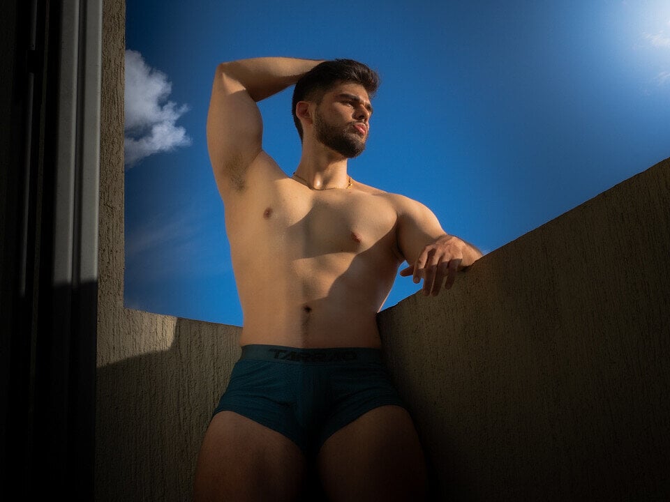 hans_fox profile