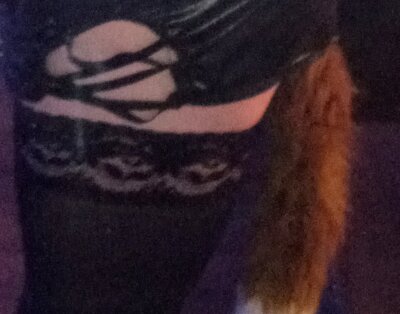 sissy_foxtail_slut Avatar