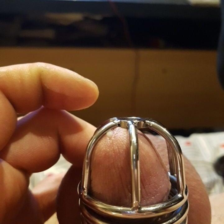 Live sex webcam photo for TigerTomas #291802417