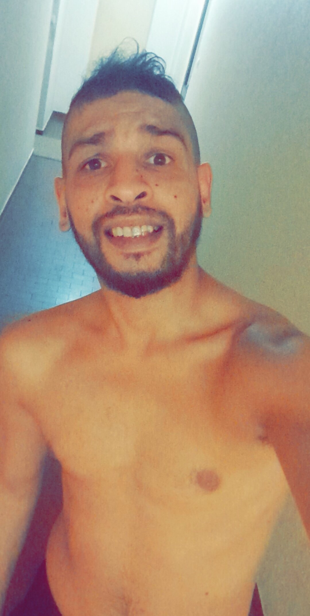 Arab-Cock