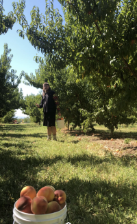 thewoodsarecalling's Offline XXX Chat