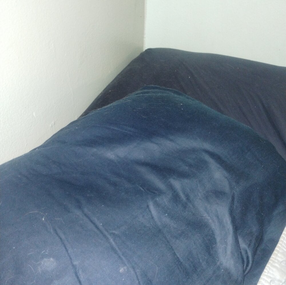 chubbybicurius from stripchat