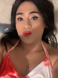 TIBIZIER Profile