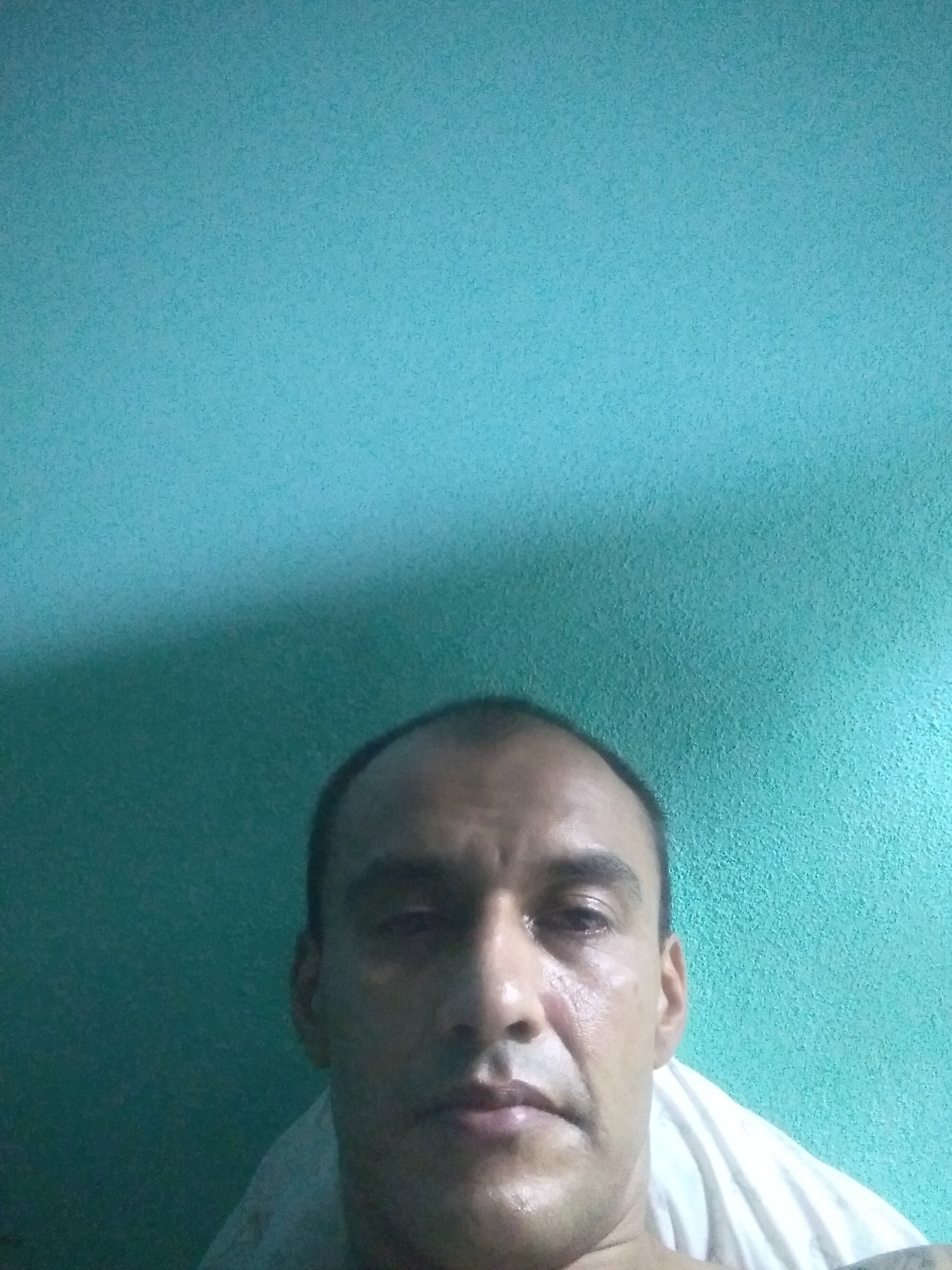 tvvo2324