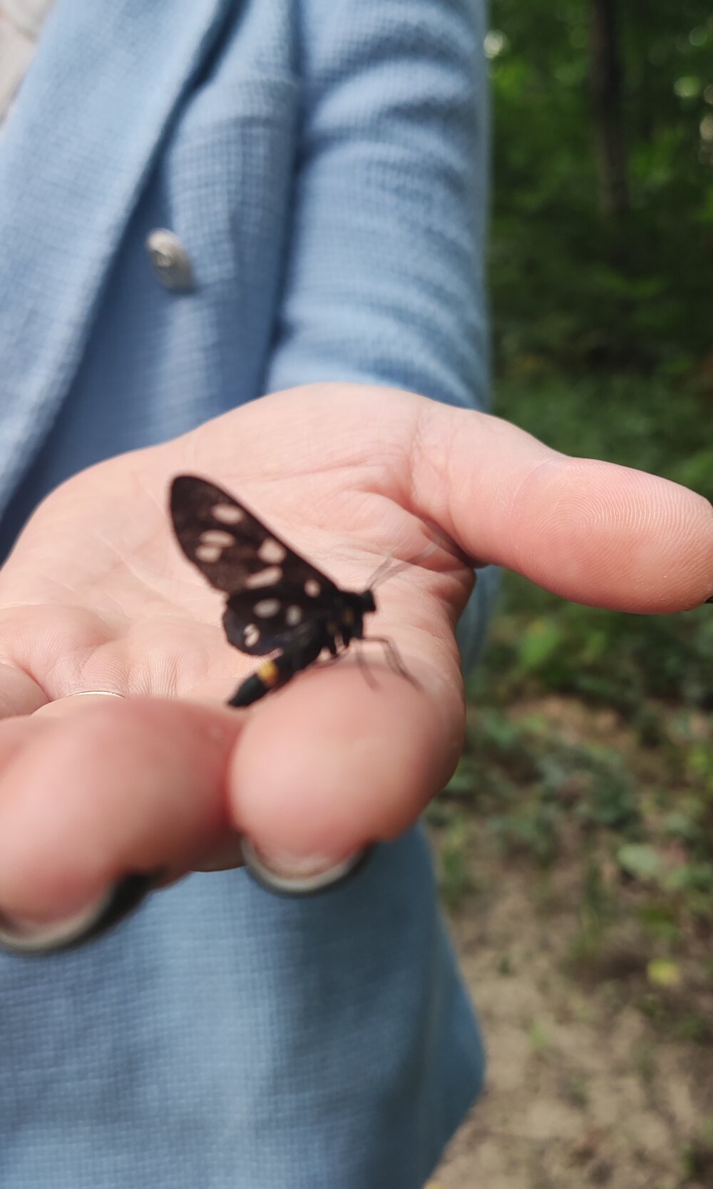 dianadumitrescu from stripchat