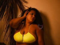 Модель MhiaRey