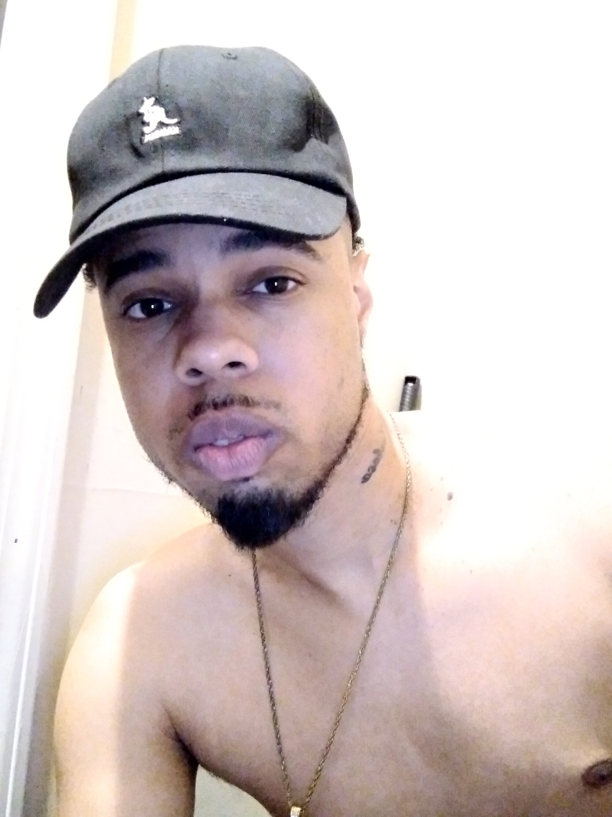 BigDillPickles