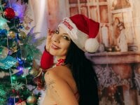 Модель alanismorgan