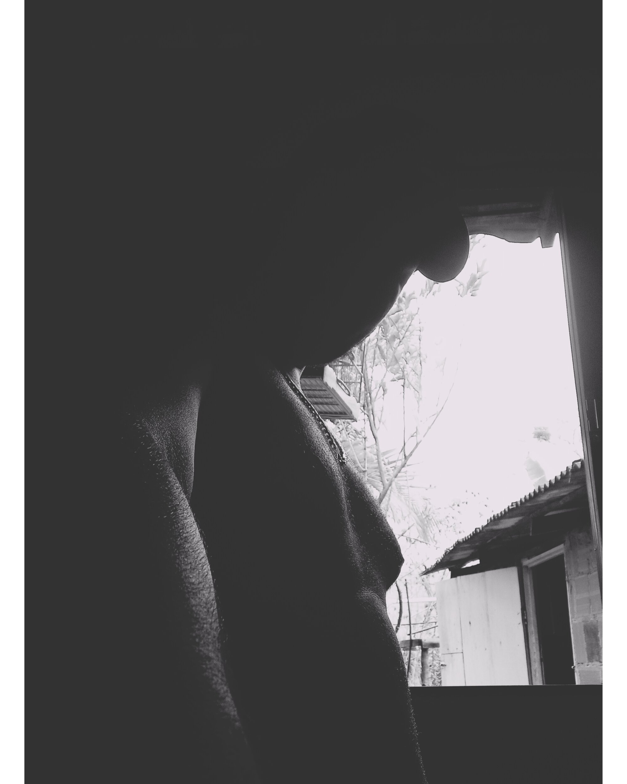 RIBEIRO_16