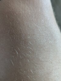 bernd12458's webcam live show