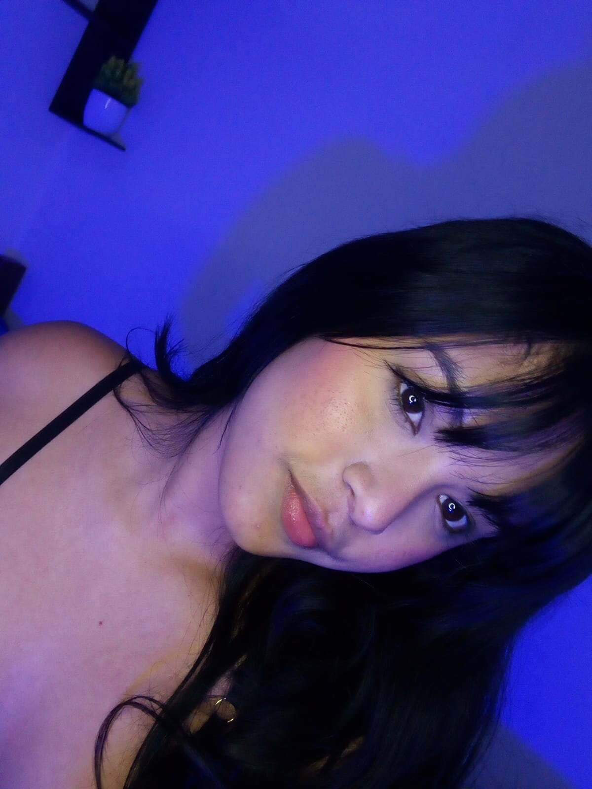 Sweet_fox18