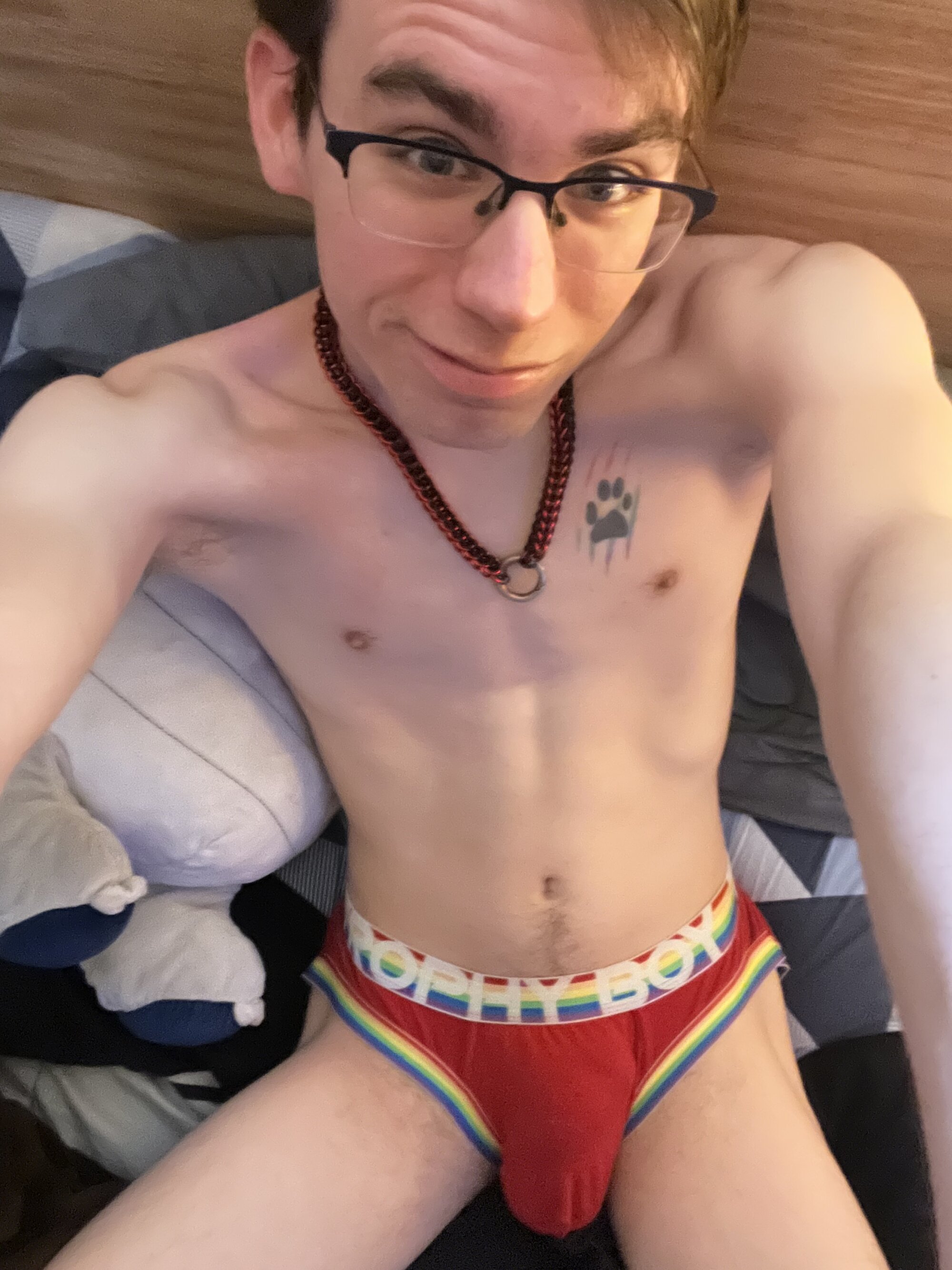 pupgizmo08