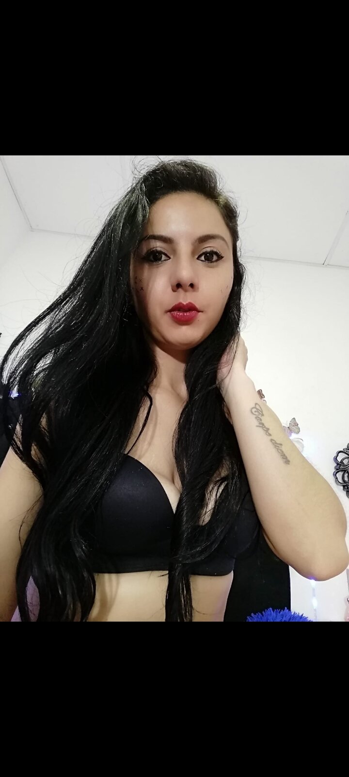 DominarixFoxy