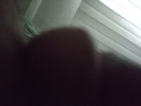 fermaniert98's Offline XXX Chat