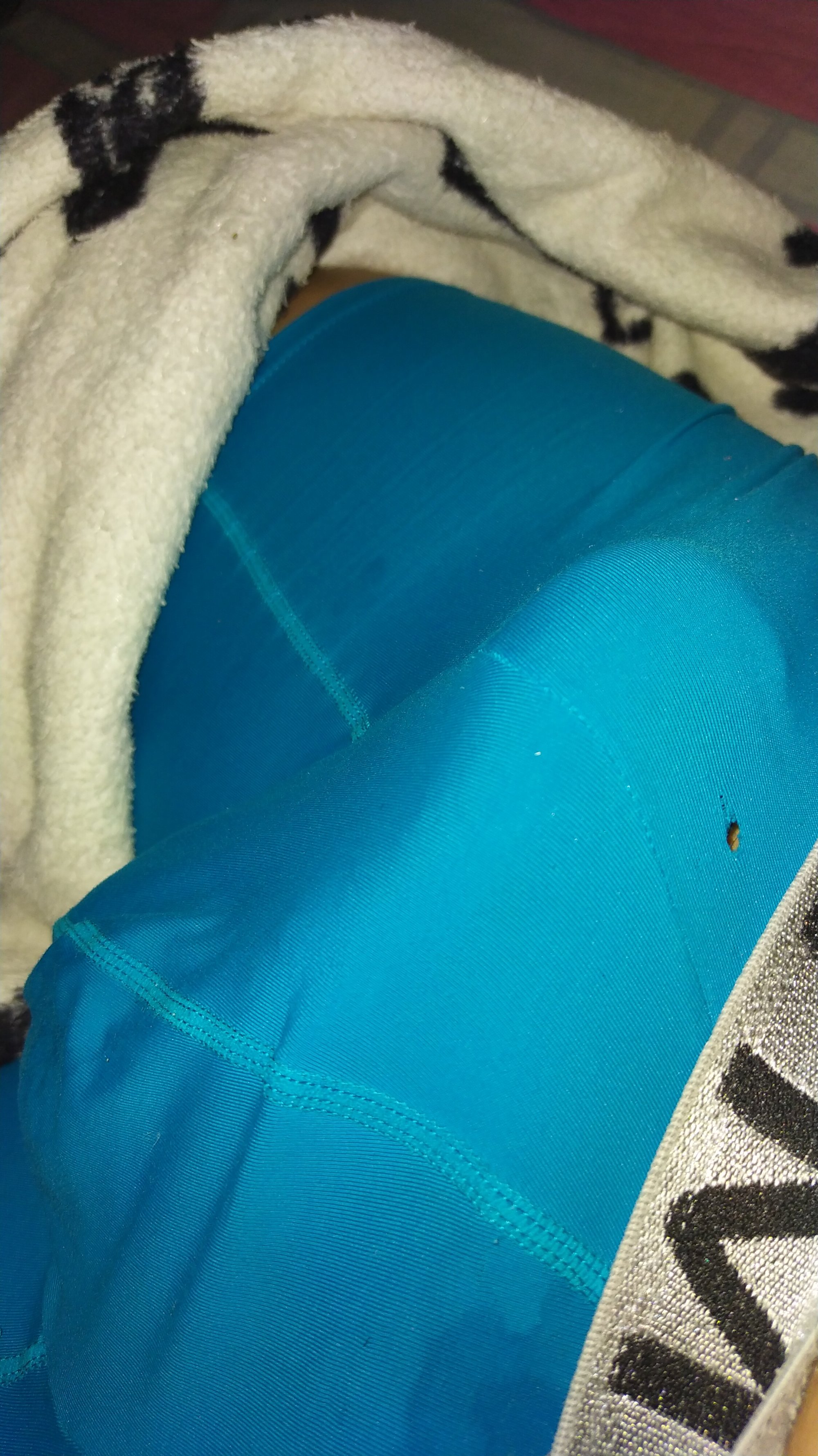 dickbastienweed live webcam