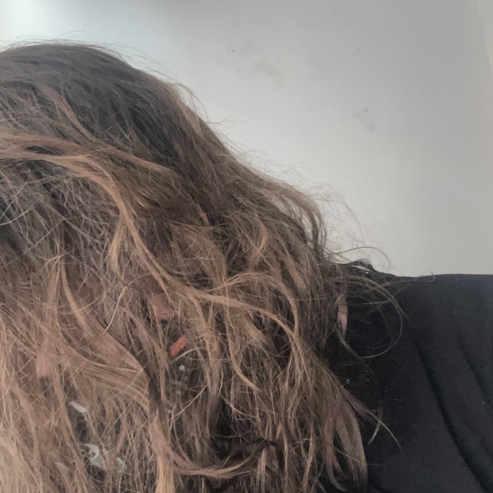 stalentei profile