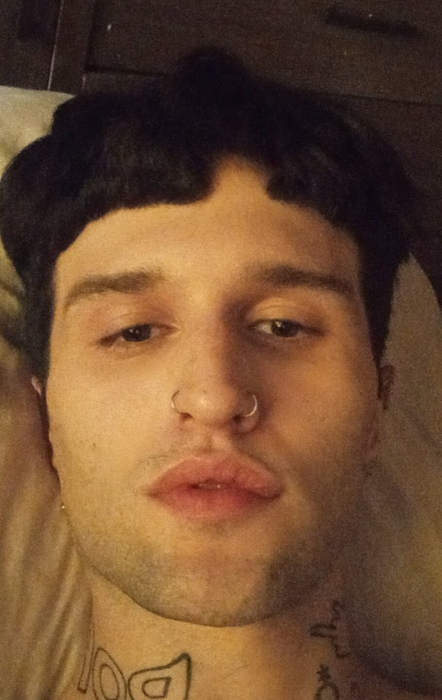 italianboy1111 from stripchat
