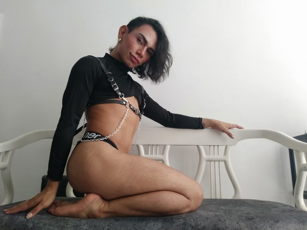 Ambar_hornier profile