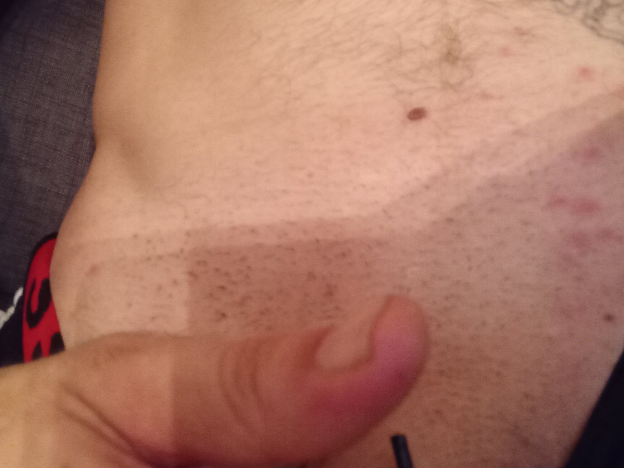 jenc8288