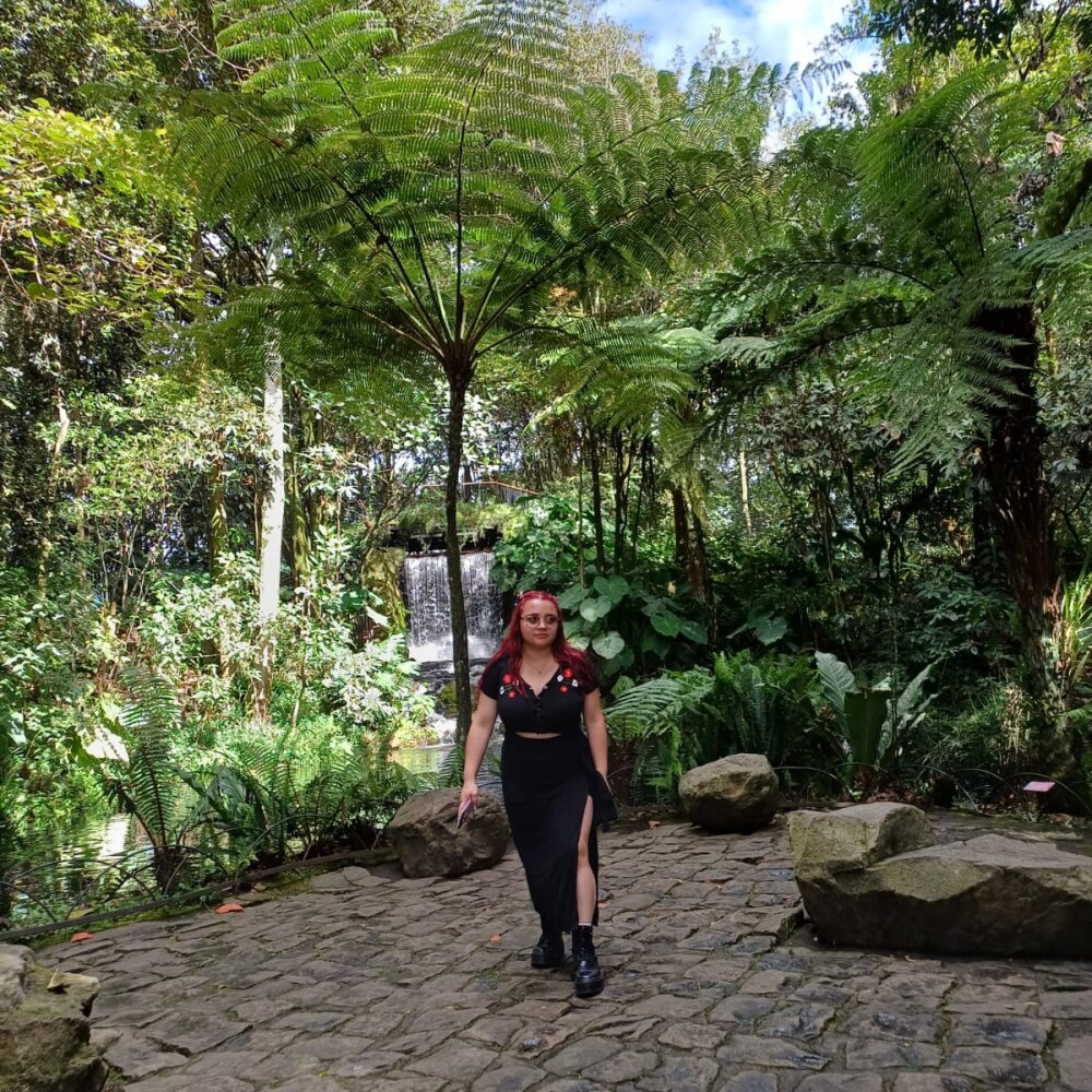 MERIDA-3 Profile Image