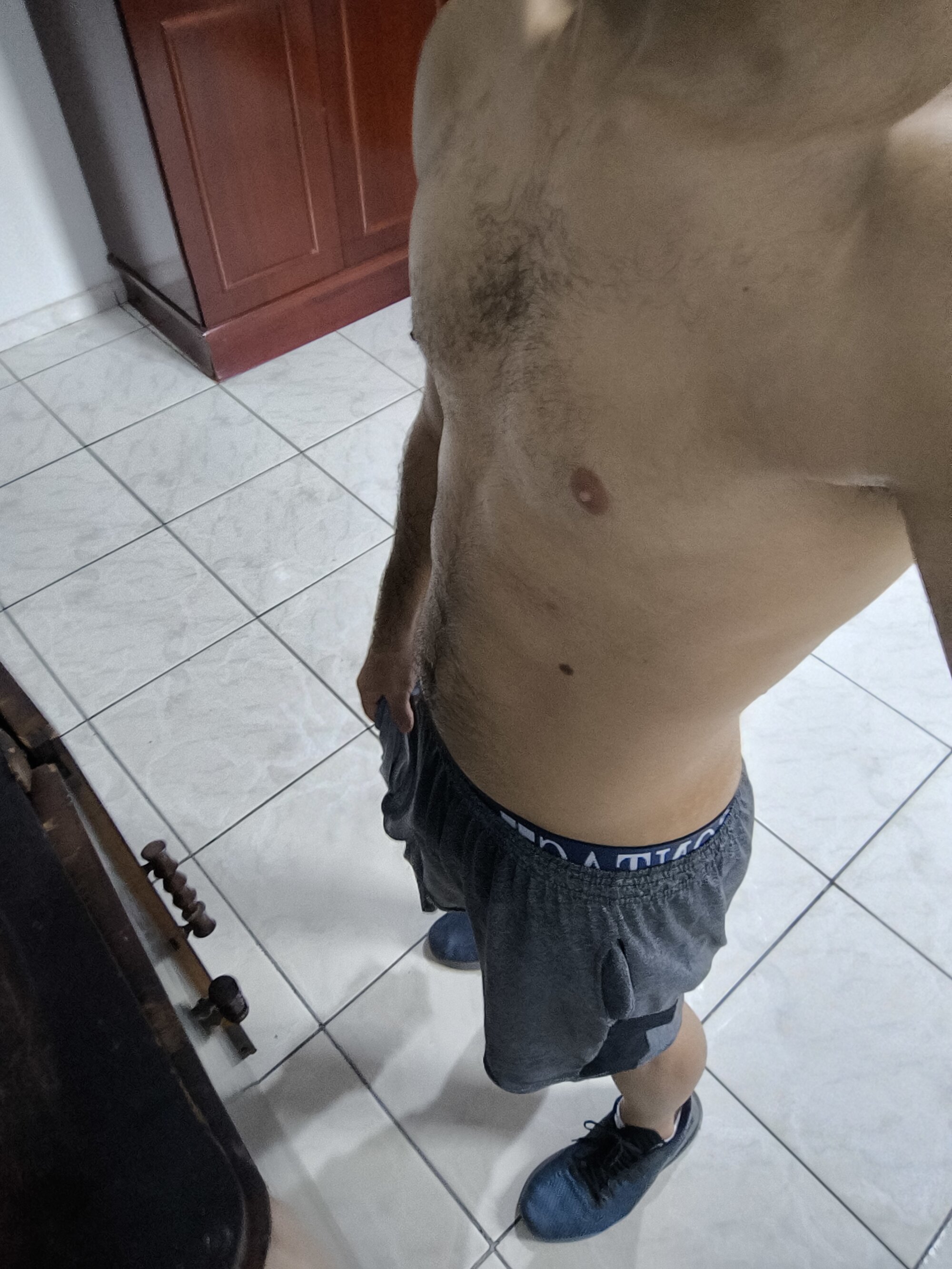 ativointsp313