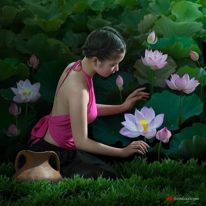 Breastshavemilk2's most recent online preview