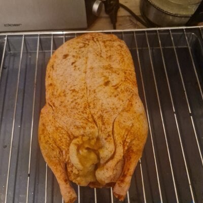 GlaucousSnagLive Webcam