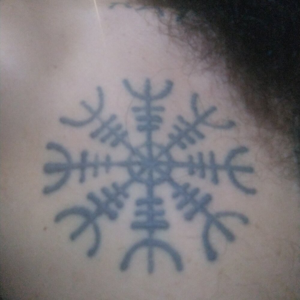 MuddiedCavy's Offline XXX Chat