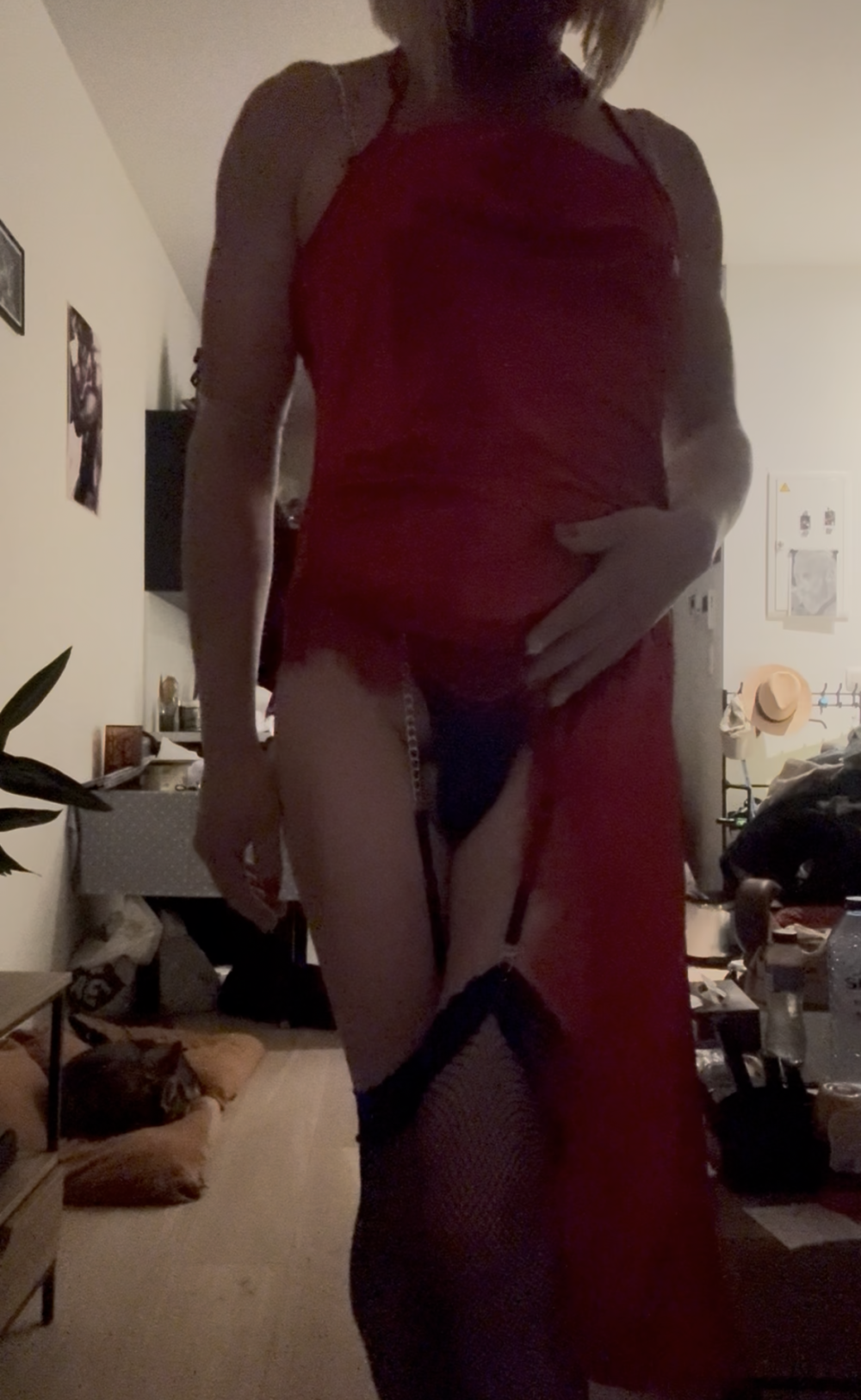 gentleemma74 from stripchat