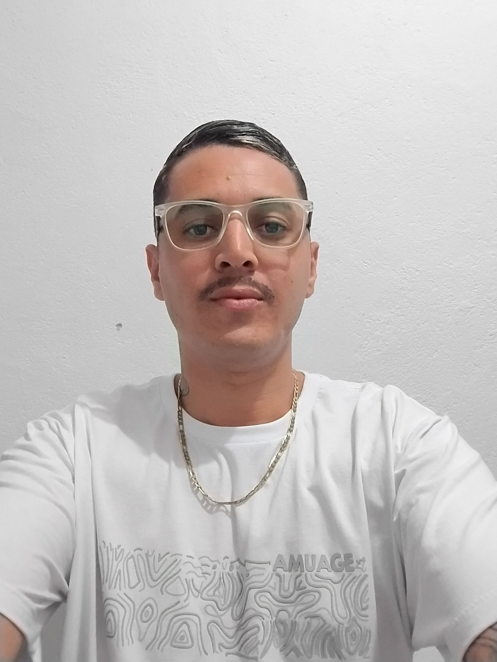 244cachorro