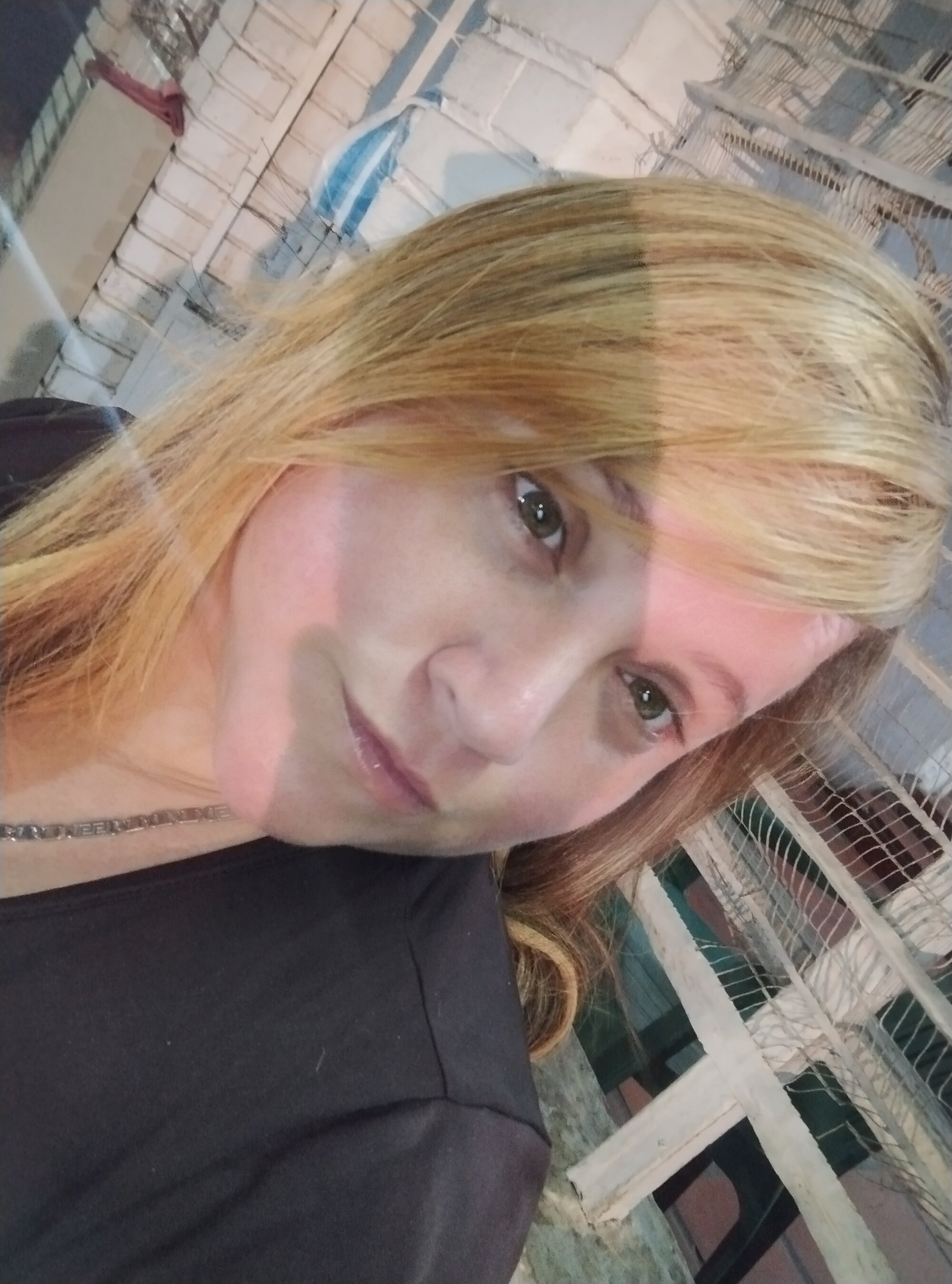 Ailany23