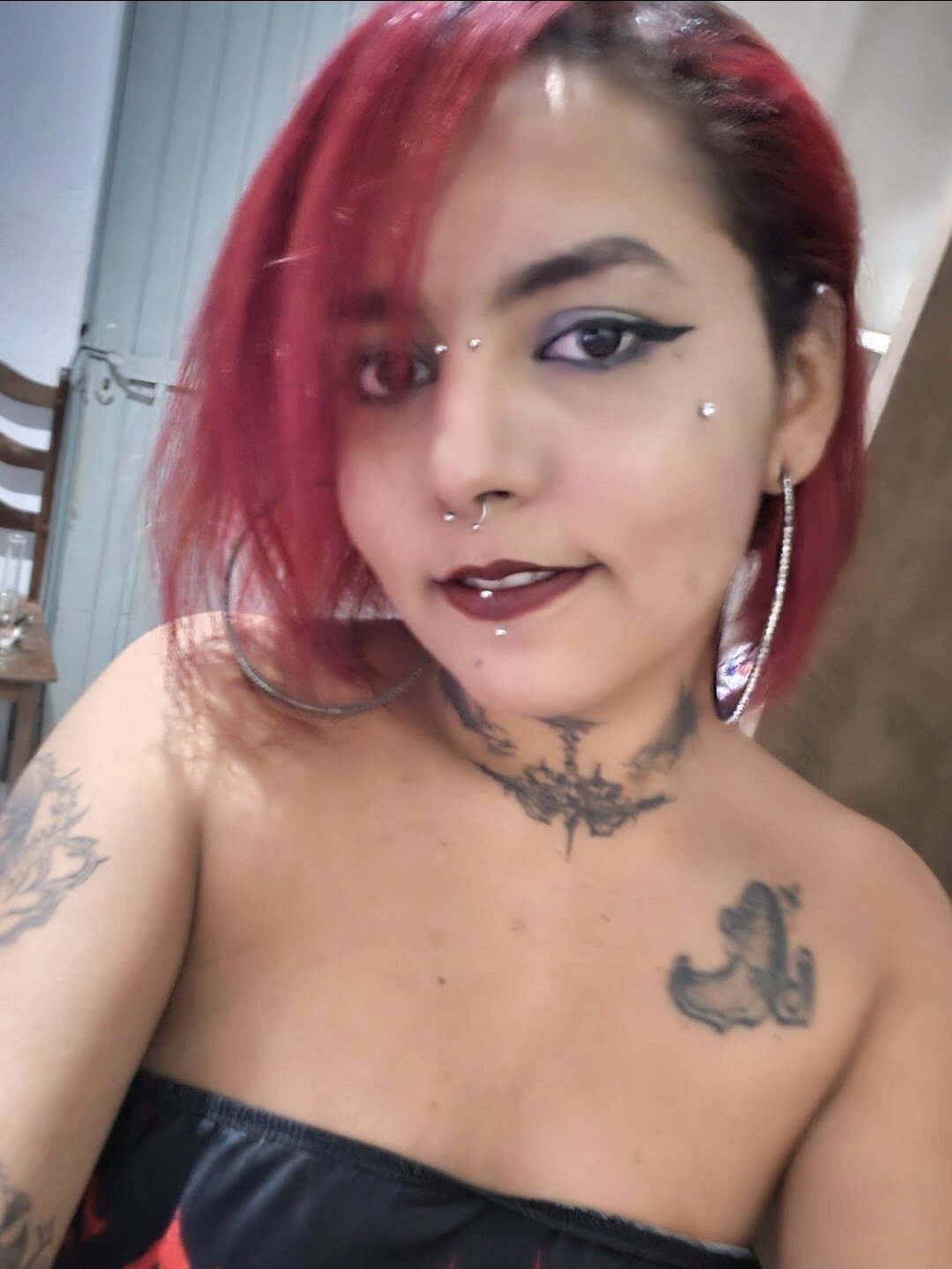 Todinhasua1