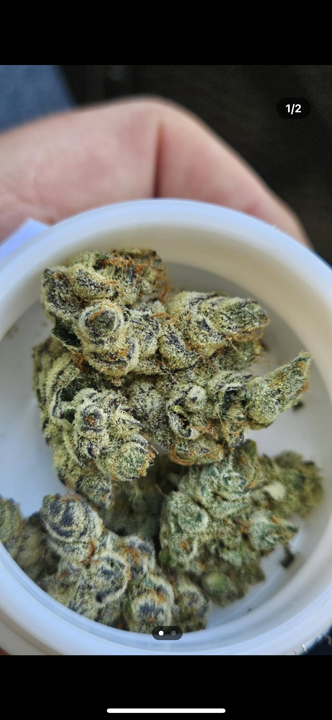 bigdaggerdickk