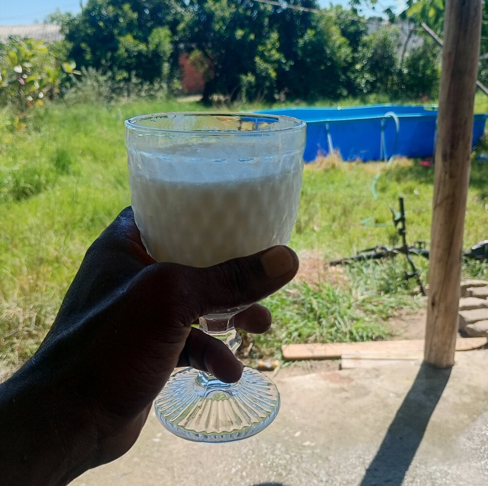 rodrig2107 Offline XXX-chat