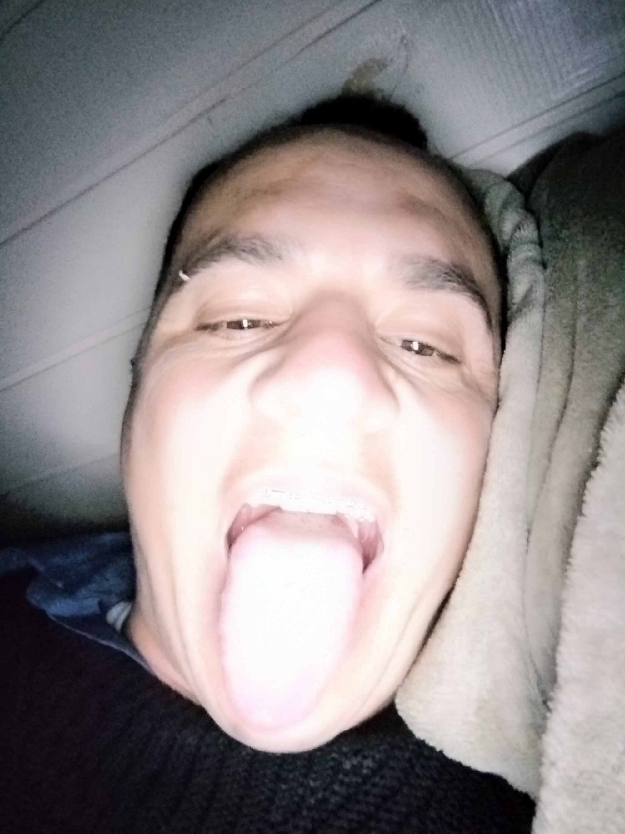 vagnereb
