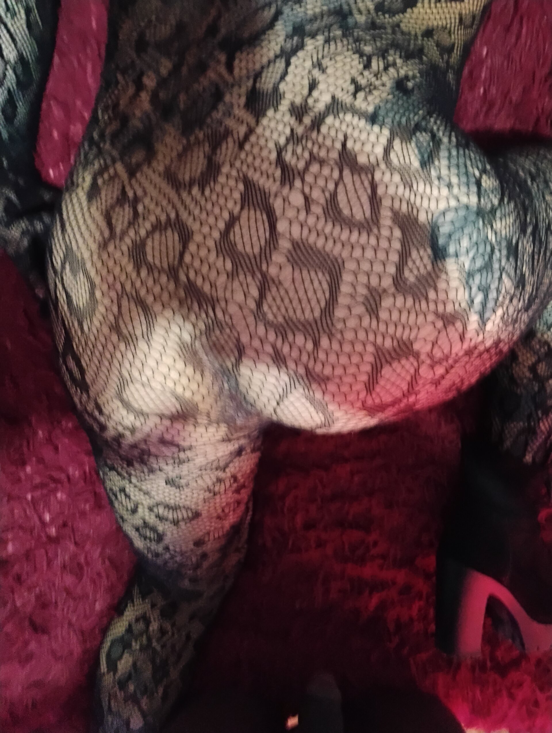 XXX Porn Photo of Nude puticaaa 2