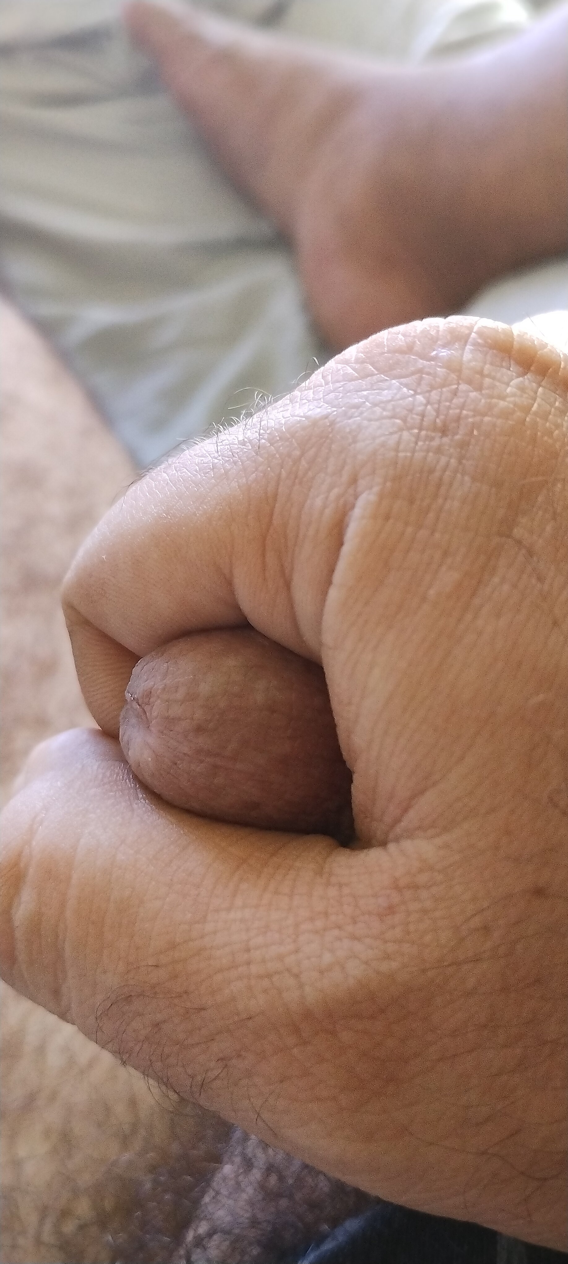 XXX Porn Photo of Nude GordimTotoso 3