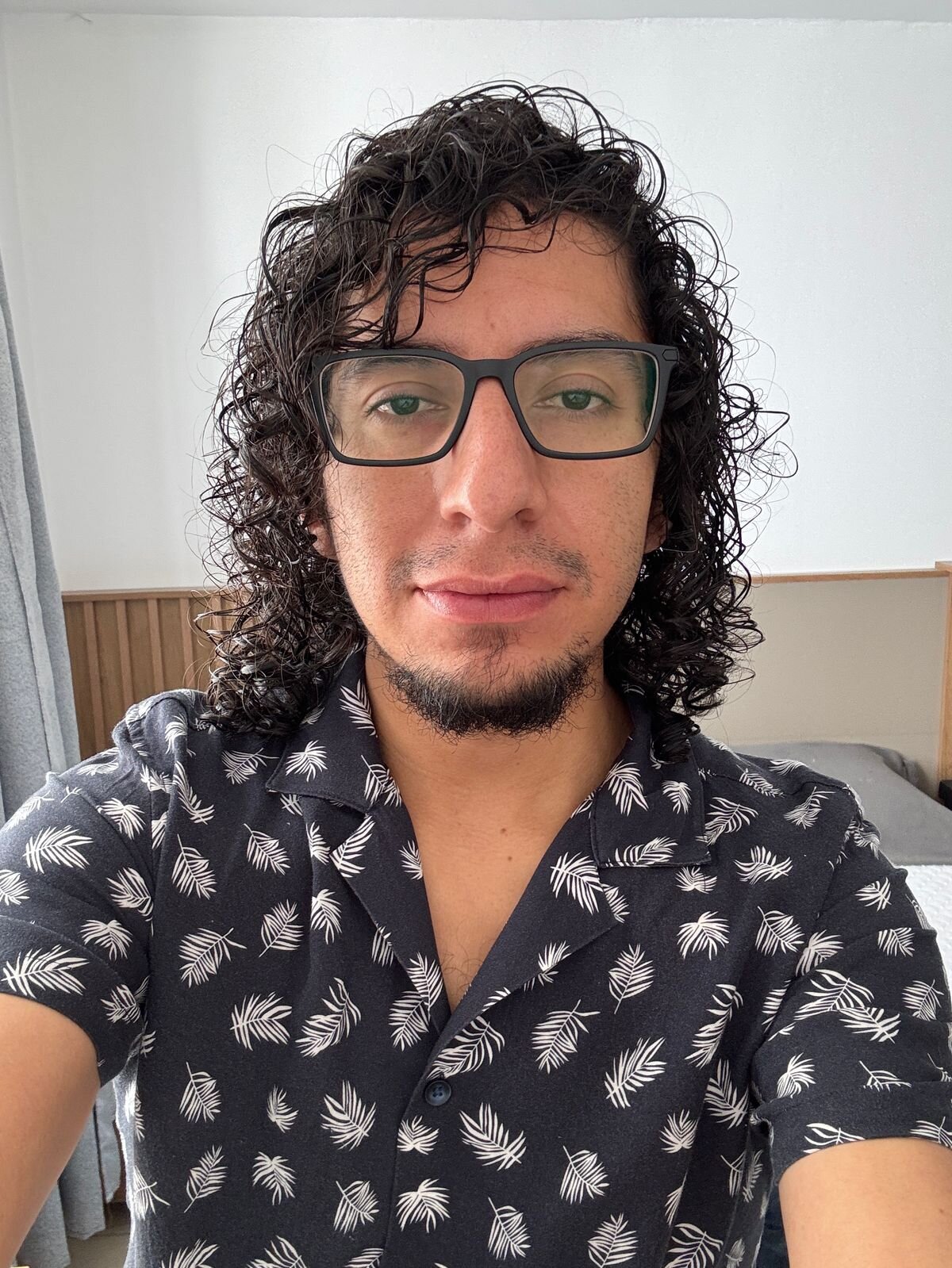 littlelatinhunter
