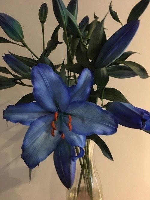 XXX Porn Photo of Nude VandaRossi 250
